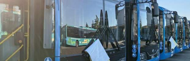 На пригородные маршруты Караганды вышли 20 новых автобусов