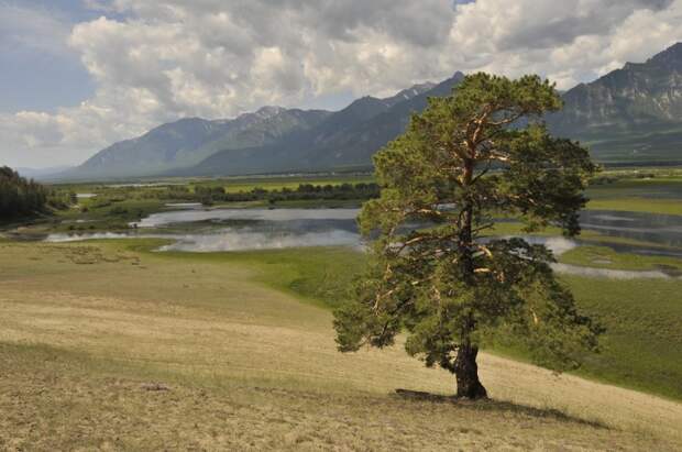 Баргузинская долина и восточная часть Баргузинского хребта. Бурятия