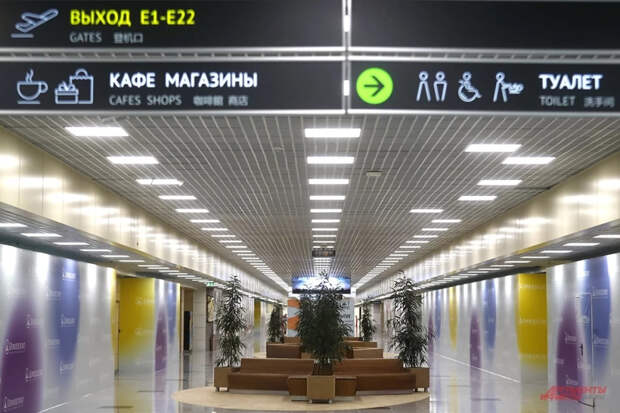 Гендиректор Шереметьево раскрыл подробности приобретения Домодедово