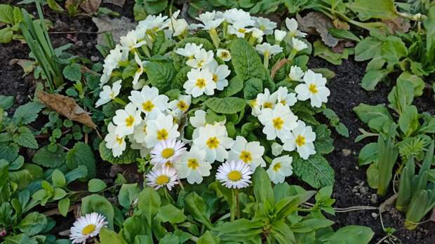 Традиционно! Погода на 8 марта не радует: в чем женщины провинились?