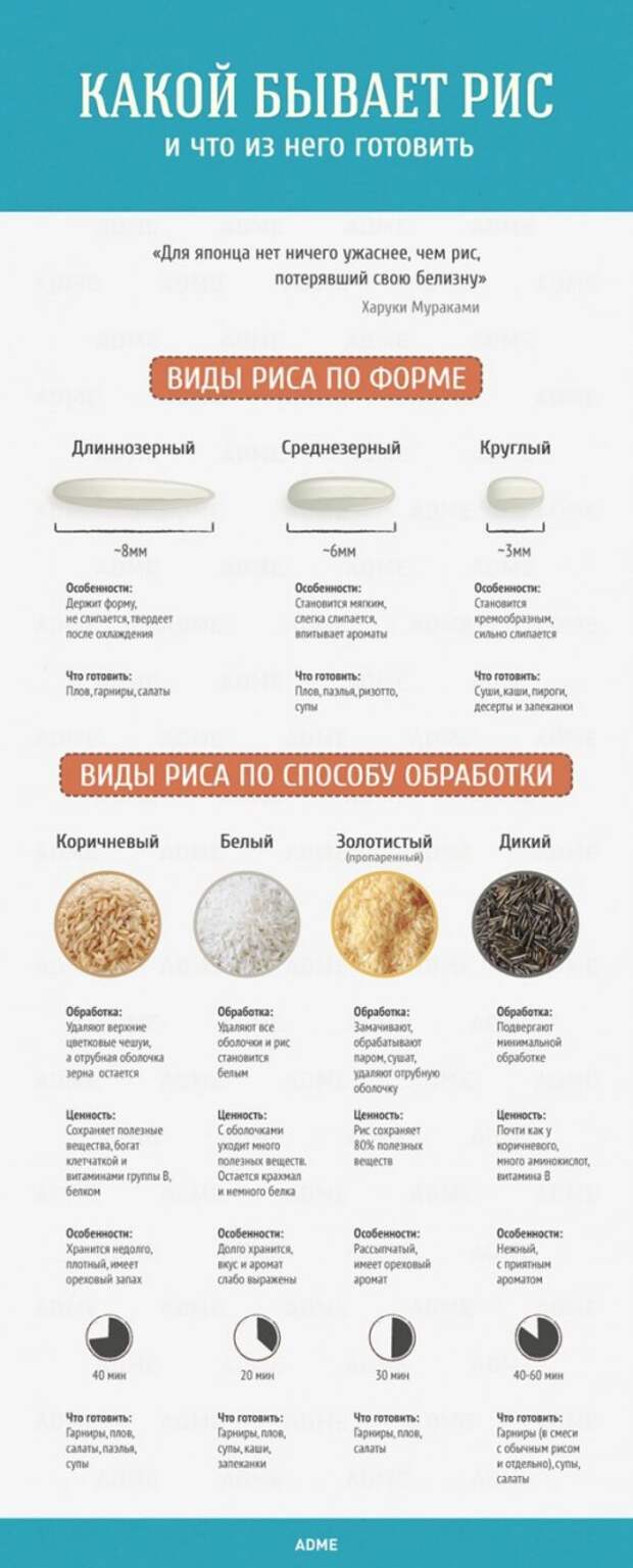 Гид в картинках по кухне и готовке кухня, секреты, советы