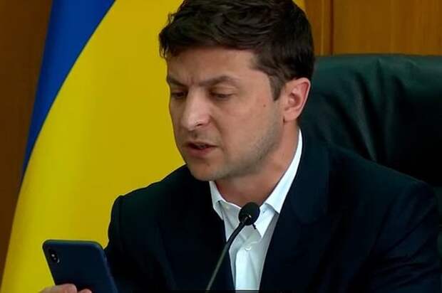 Пес всегда копирует за хозяином