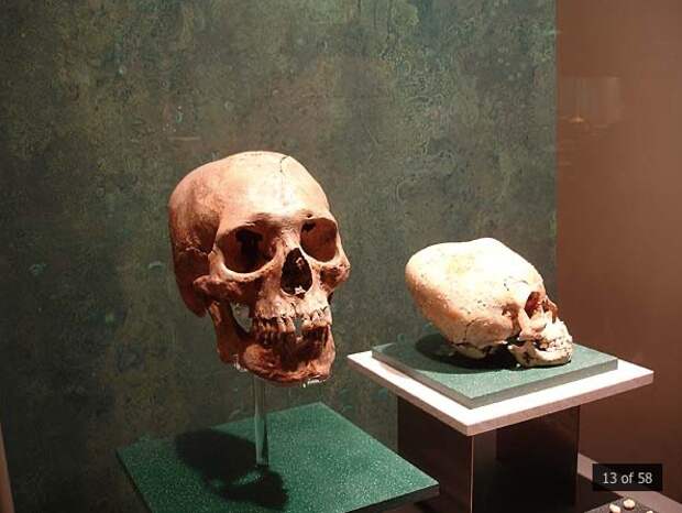 Самые интересные артефакты мексиканского музея антропологии и истории