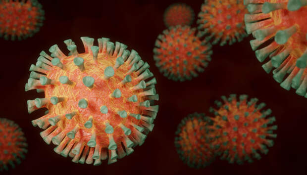 Три новых смерти от коронавируса зафиксированы в Карелии