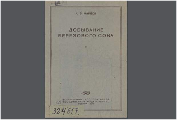 Что на самом деле было в банках с березовым соком в СССР