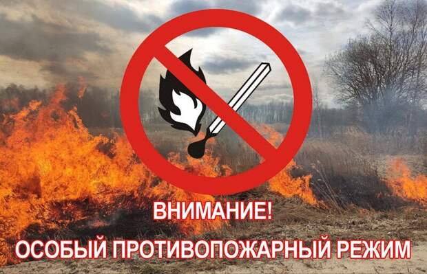 В Самаре до октября 2024 года введен особый противопожарный режим