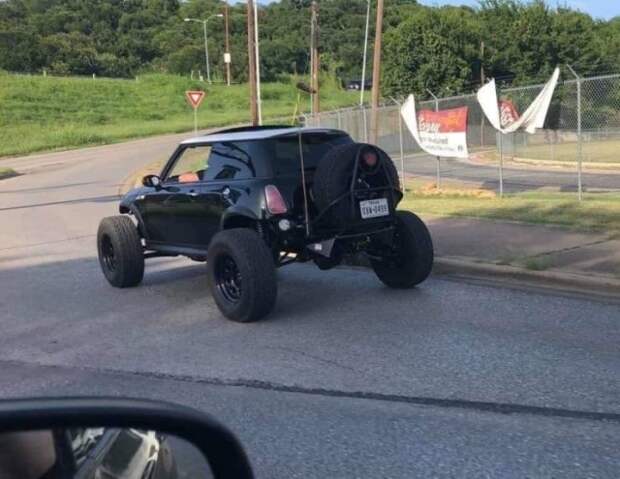 Подборка картинок. Дневной выпуск (31 фото)