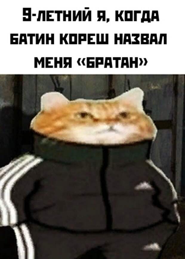 Смешные картинки вечер 21 января 2021