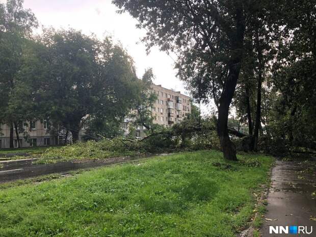 Последствия урагана