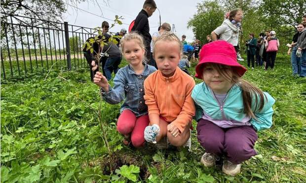 На территории школы № 49 в Архангельске будут выращивать трюфели