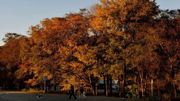 Психолог рассказала о борьбе с плохим настроением в осенний период