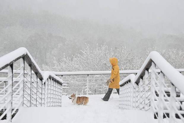 Москвичам назвали срок исчезновения сугробов