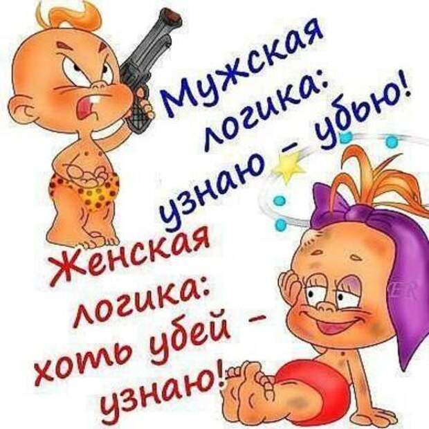Настоящая женская логика — кому веселье, а кому страдать (11 фото)
