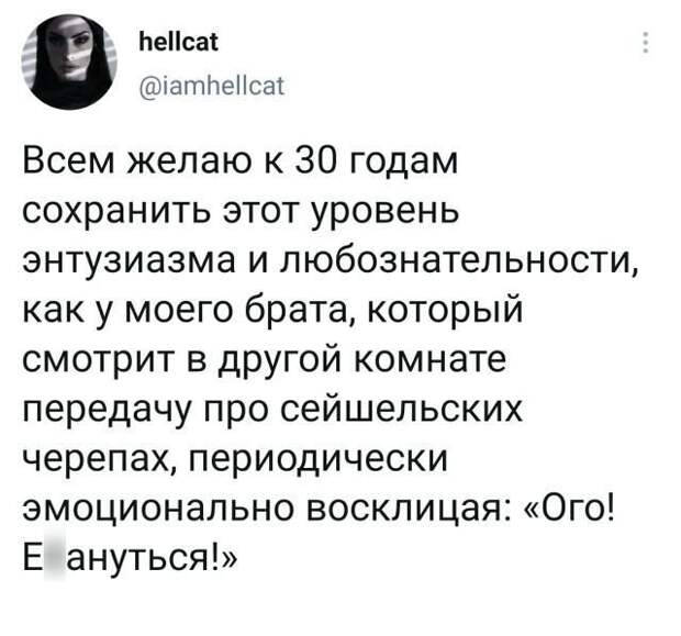 Подборка забавных твитов обо всем Подборка забавных твитов обо всем