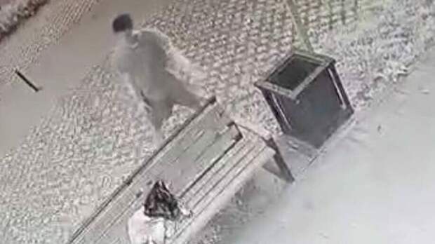 Петербуржец заплатил за нападение на девочку 60 тысяч рублей