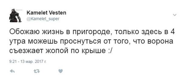 Свежие картинки с надписями для поднятия настроения (11 фото)