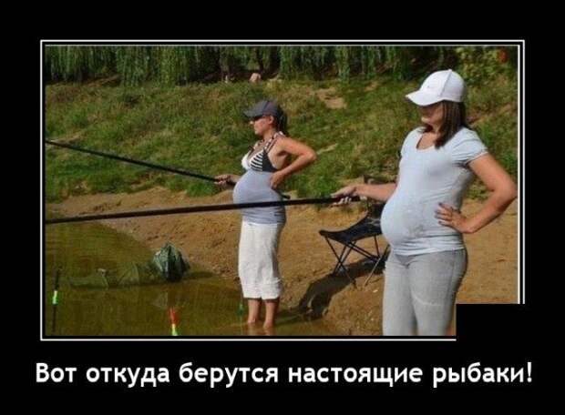 demotivatory-demotivator-smeshnye-demotivatory-demotivator-so-smyslom