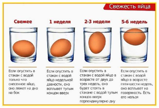 В случае, когда яйцо не погружается в воду, а всплывает, его стоит выбросить / Фото: svekrovi.net