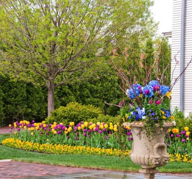 Весенняя клумба из разноцветных тюльпанов 