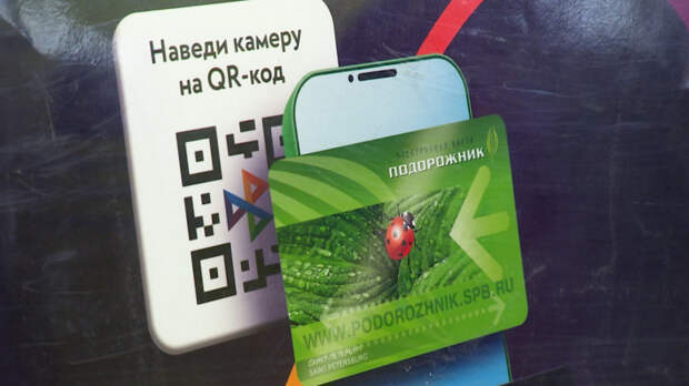 К петербуржцам обратились с просьбой обновить приложение "Подорожник"