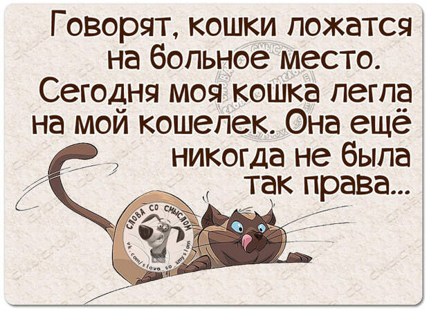 wQHGPqTEmY0 (700x505, 431Kb)