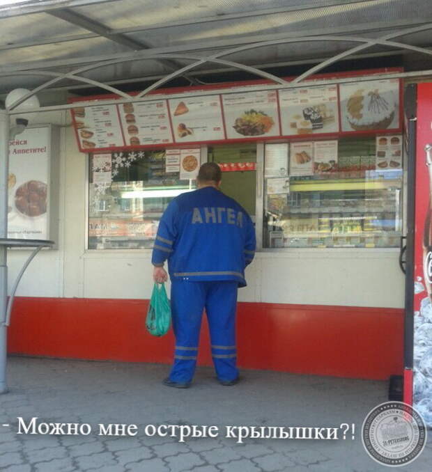 Острые крылья