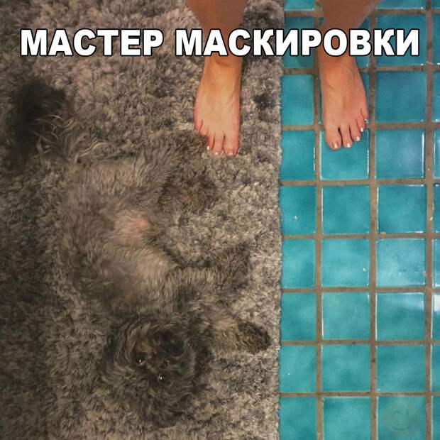 Замечательные картинки с надписями со смыслом (12 фото)