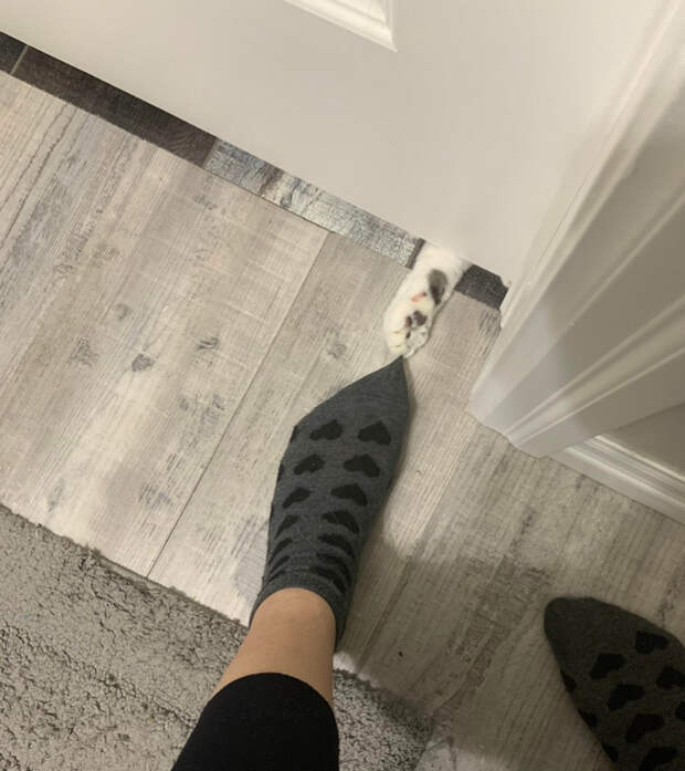 16102852_original (621x700, 305Kb)