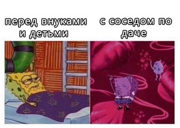 Мемы для пенсионеров