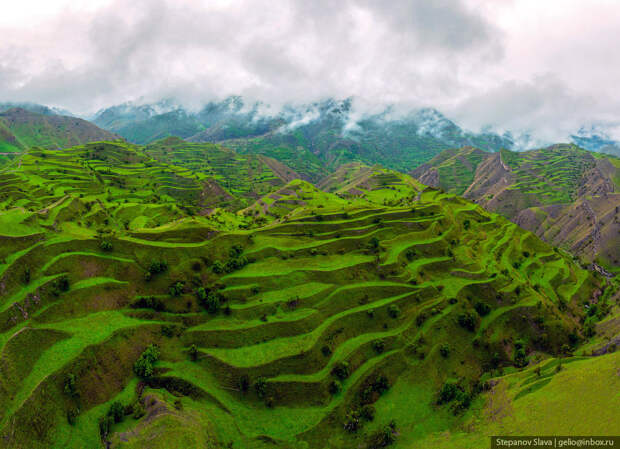 дагестан, чох, террассы