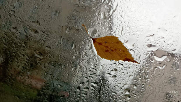 Татарстанда яңгырлар, көчле җил һәм 9 градуска кадәр җылы булыр дип көтелә