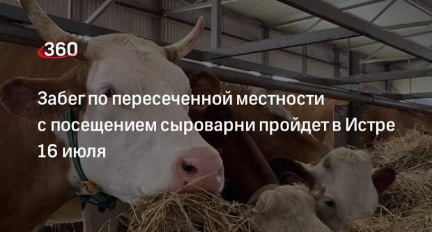 Забег по пересеченной местности с посещением сыроварни пройдет в Истре 16 июля