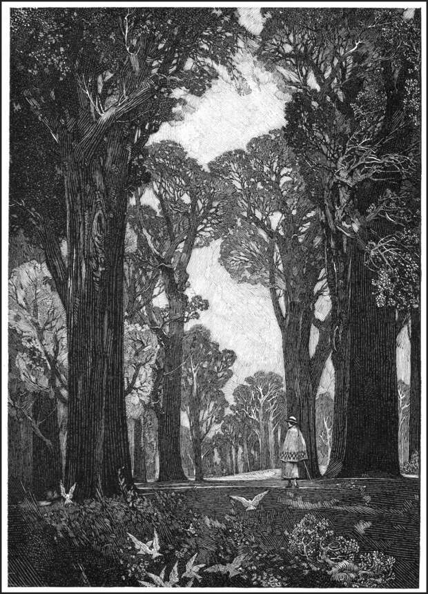 franklin_booth_graphicine_32FranklinBooth-TheWoodland-full.jpg franklin_booth_graphicine_32FranklinBooth-TheWoodland-full.jpg
