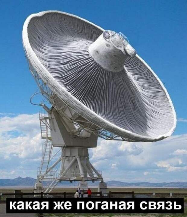 Свежие мемы на утро (01.06.2023)