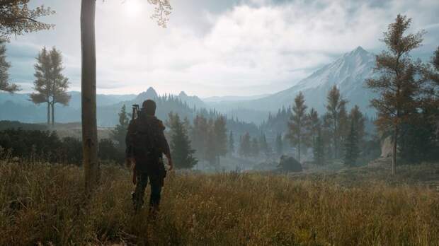 Главный дизайнер Days Gone защищает игроков и благодарит их за поддержку