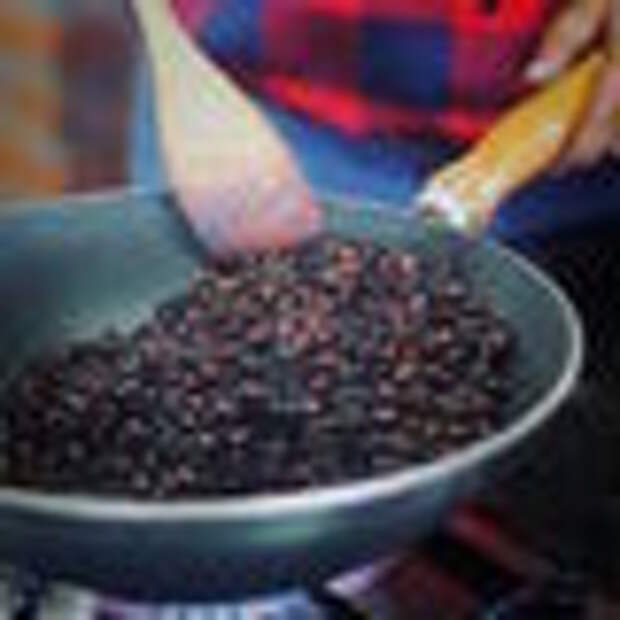 Cooking with big-bottomed ants.