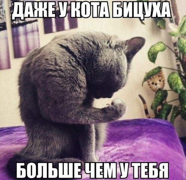 Картинки по запросу приколы спорт