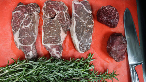 Ради спасения: женщина начала готовить детей к войне, посадив их на «диету хищника»