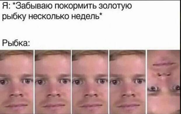 Шутка про рыбку