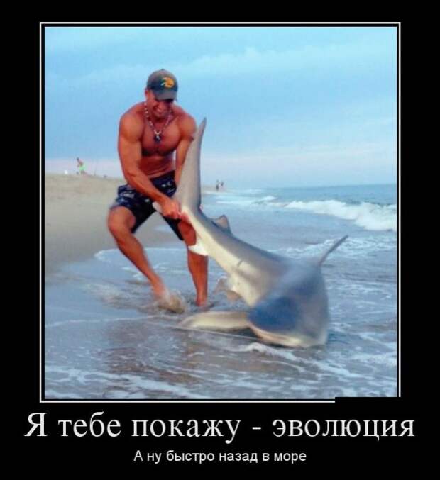 Демотиваторы (30 фото)