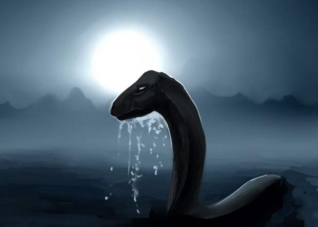 В вожегодском озере может обитать существо, похожее на Лохнесское чудовище
