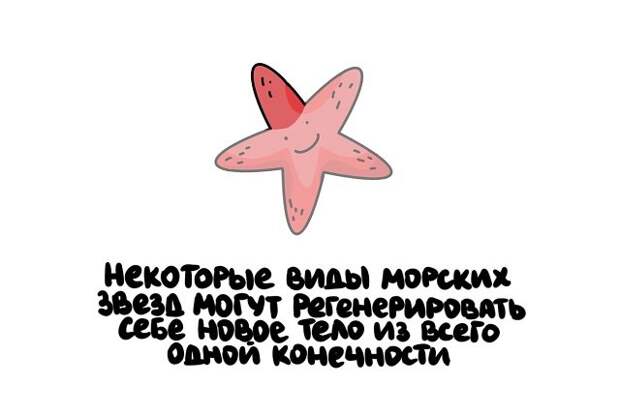 Короткие и интересные факты на все случаи жизни