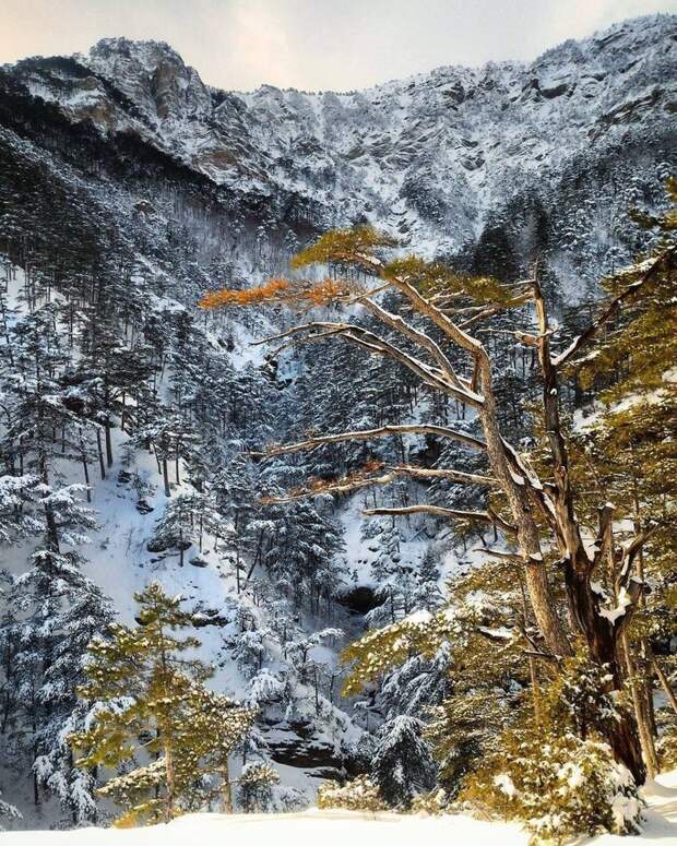 Крым красоты, крым, фото