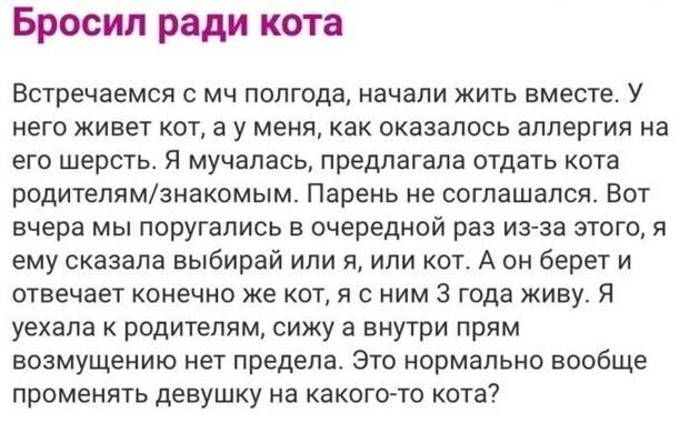 7. На что ради кота готовы вы? 7. На что ради кота готовы вы?