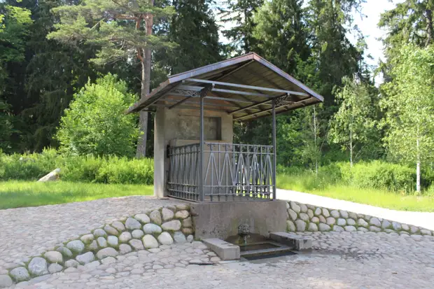 "Тянутся сосны в прозрачное небо, глыбы гранита заснули давно..." Парк Монрепо в Выборге