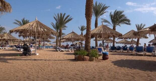 Египет снова примет туристов: стало известно, что нужно сделать россиянам, чтобы попасть на курорт