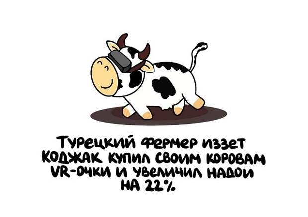 Короткие и интересные факты на все случаи жизни