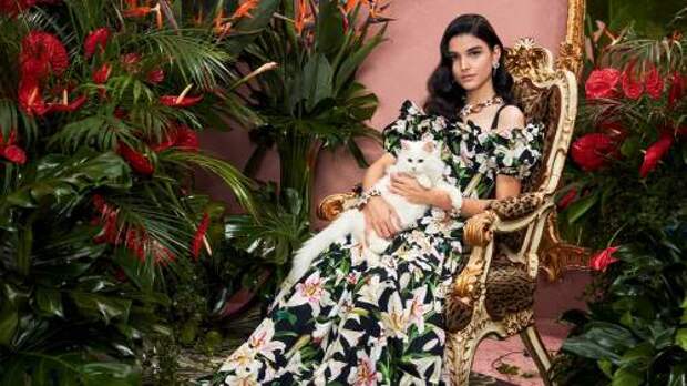 Dolce&Gabbana в 2022 году откажется от натурального меха