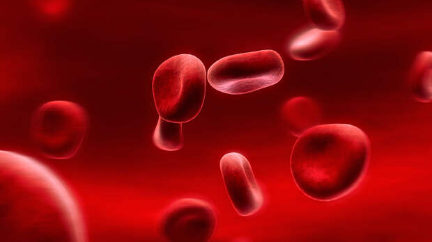 Что такое гемоглобин и зачем его «проверять»?