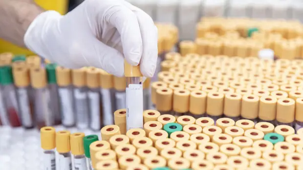 В Ростовской области выявили 449 случаев коронавируса за сутки